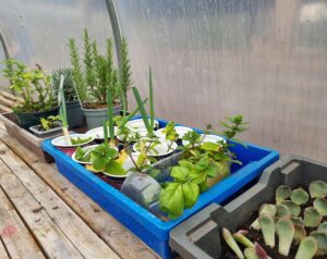 horticulture (2)